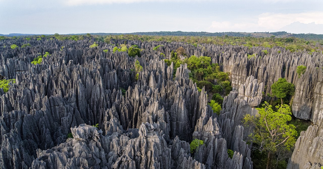 Morondava